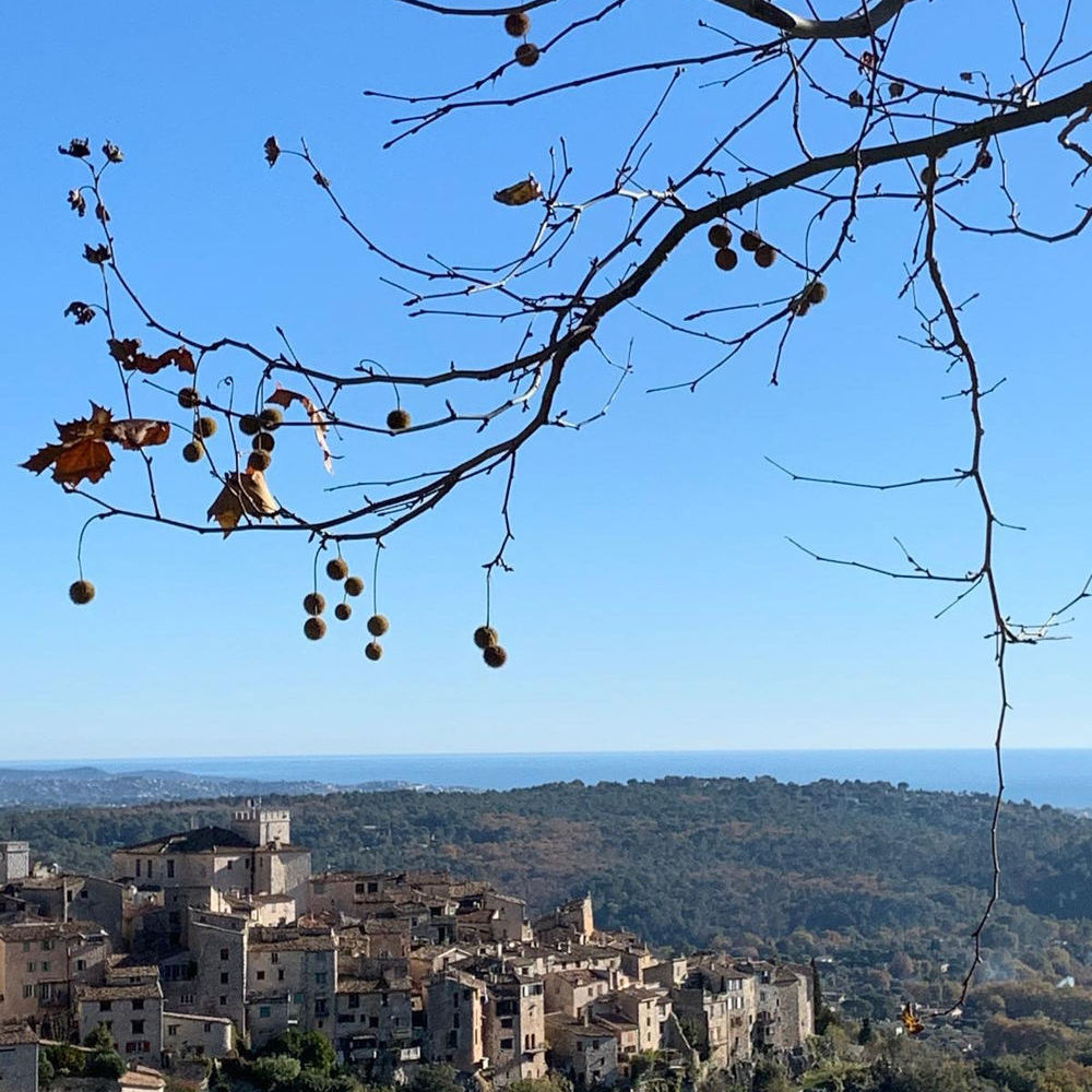 � vendre  Maison Tourrettes-sur-Loup (06140)