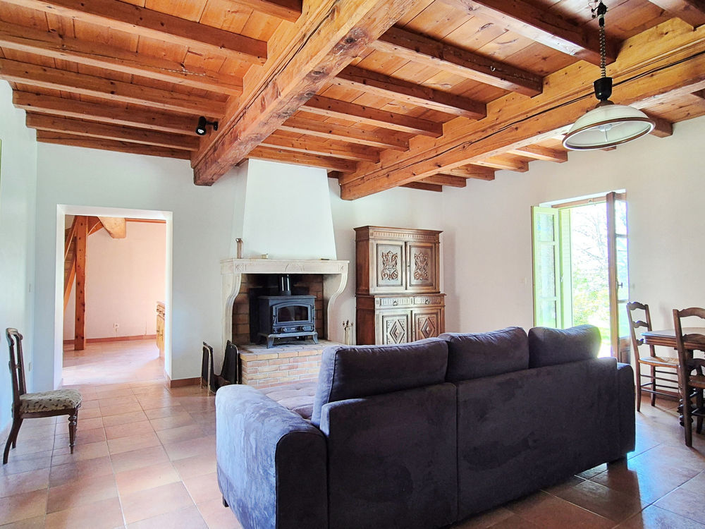 � vendre  Propri�t�/ch�teau Tramoyes (01390)