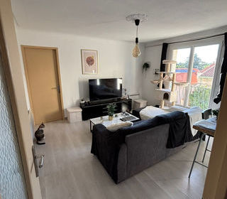  Appartement � vendre 3 pi�ces 50 m�