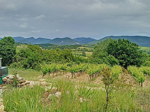   TRES JOLIE VILLA DE TYPE T5 AVEC PISCINE SUR LES HAUTEURS DE VINSOBRES Maison - 5 pi�ce(s) - 126 m�