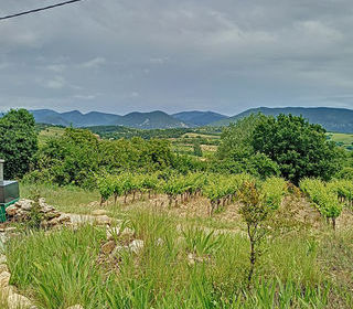  Maison � louer 5 pi�ces 126 m�