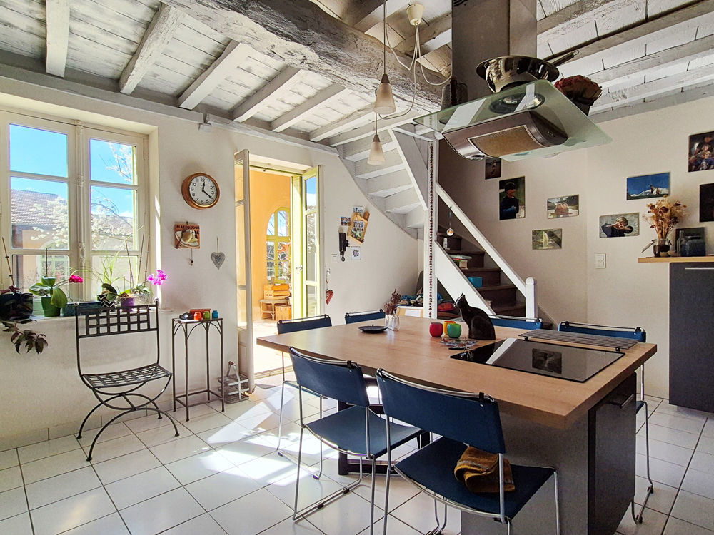 � vendre  Propri�t�/ch�teau Tramoyes (01390)