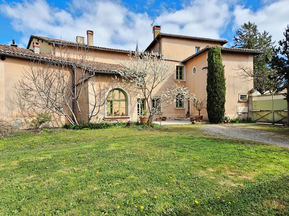 � vendre  Propri�t�/ch�teau Tramoyes (01390)