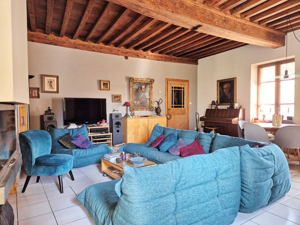 � vendre  Propri�t�/ch�teau Tramoyes (01390)