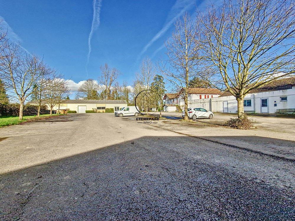 � vendre  Propri�t�/ch�teau Espiute (64390)