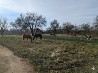  Propri�t�/ch�teau � vendre 5 pi�ces 128 m�