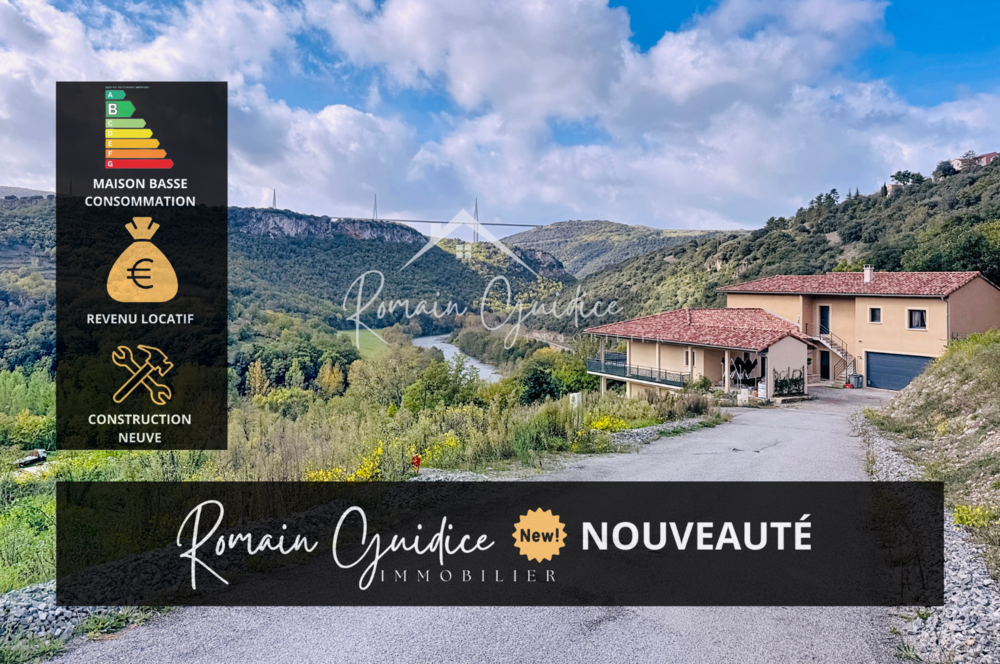 � vendre  Propri�t�/ch�teau Millau (12100)