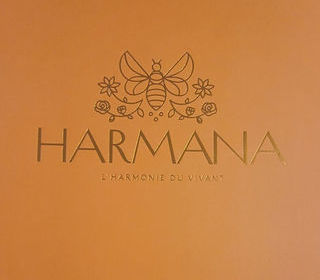  Terrain � vendre 585 m�