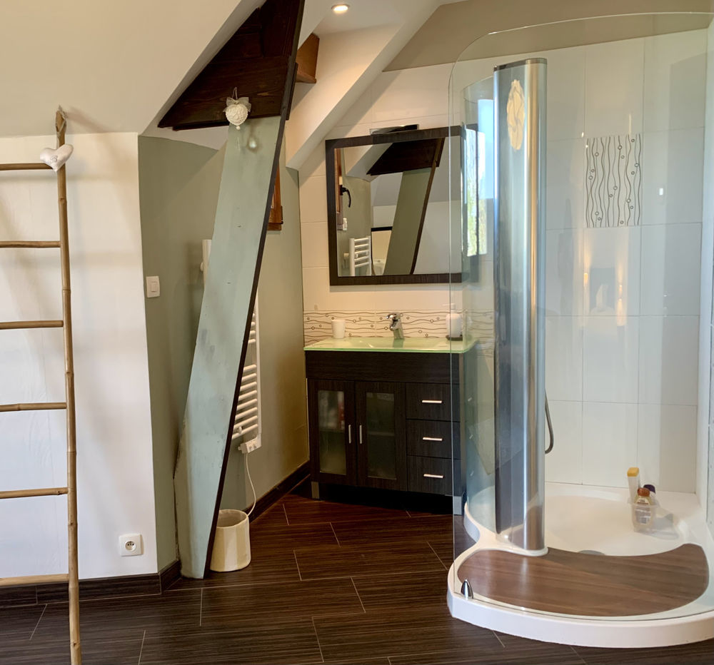 � vendre  Propri�t�/ch�teau Pleurtuit (35730)