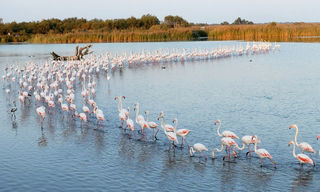  Appartement � vendre 1 pi�ce 17 m�