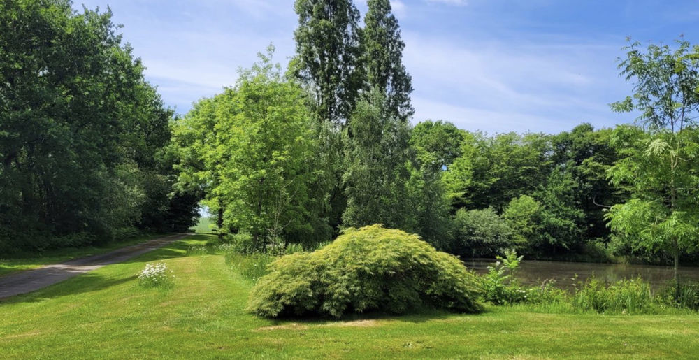 � vendre  Propri�t�/ch�teau Cl�gu�rec (56480)