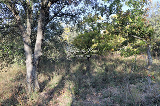  Terrain � vendre 1014 m�