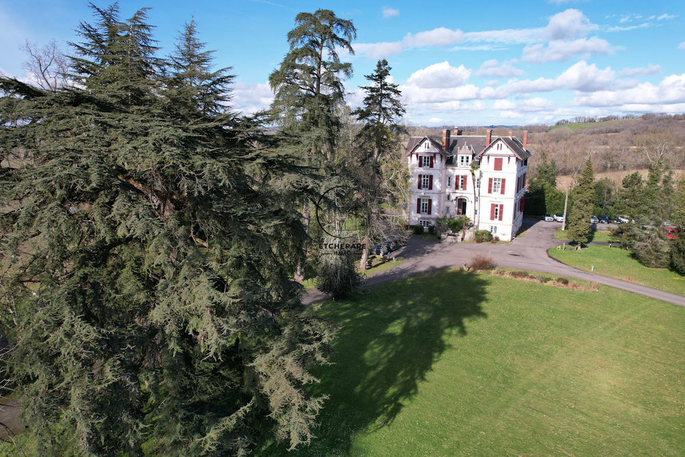 � vendre  Propri�t�/ch�teau Espiute (64390)
