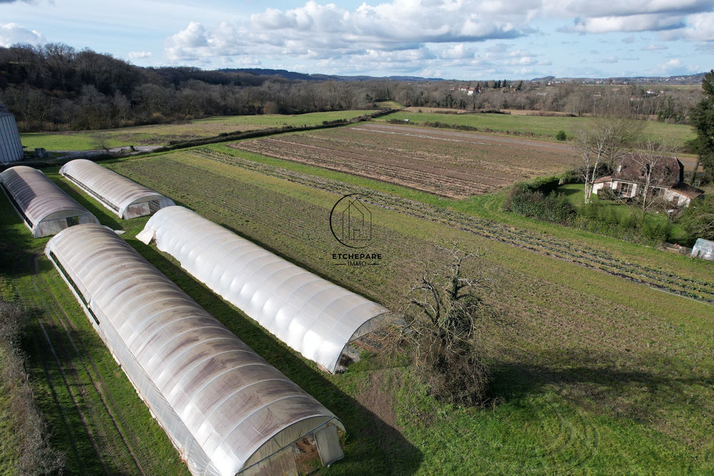 � vendre  Propri�t�/ch�teau Espiute (64390)