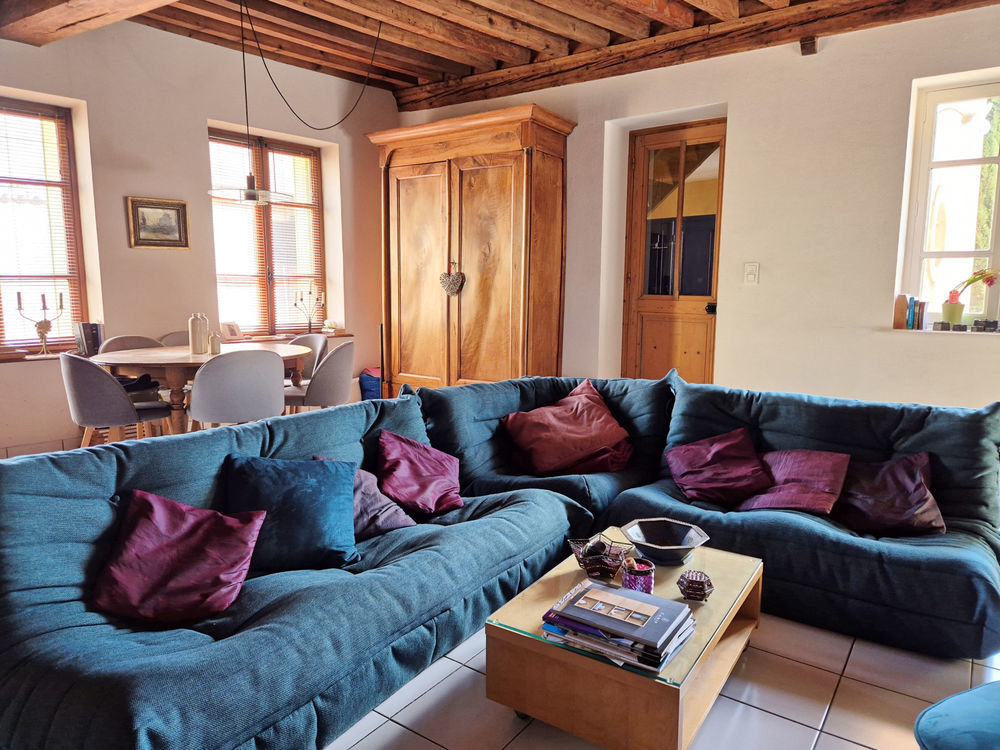 � vendre  Propri�t�/ch�teau Tramoyes (01390)