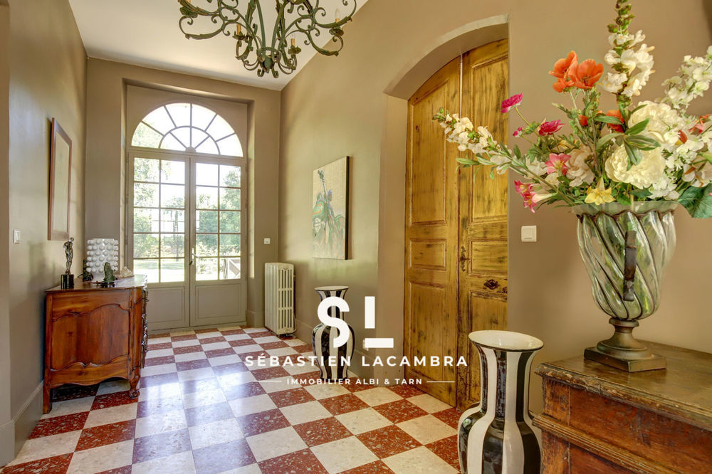 � vendre  Propri�t�/ch�teau Rivi�res (81600)