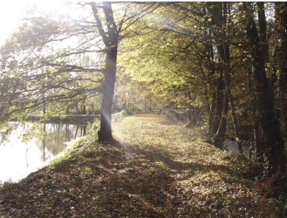 � vendre  Propri�t�/ch�teau Cl�gu�rec (56480)