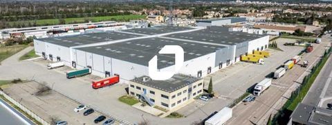 Entrepôts - A LOUER - 20 461 m² non divisibles 144932 13300 Salon de provence