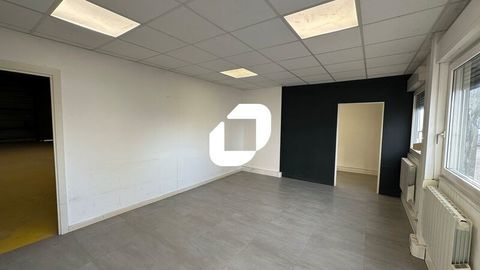 Locaux d'Activit&eacute;s - A LOUER - 150 m&sup2; non divisibles 1250 67118 Geispolsheim
