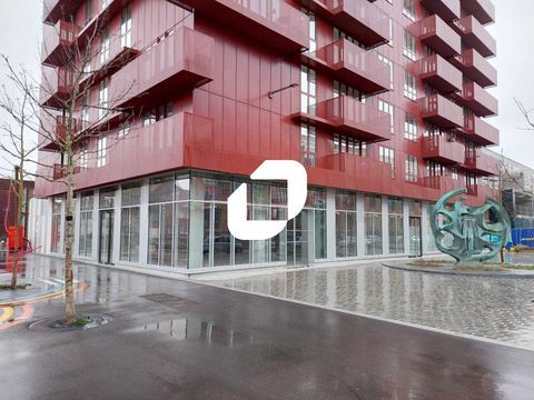 Locaux Commerciaux - A LOUER - 150 m² non divisibles 2000 59000 Lille