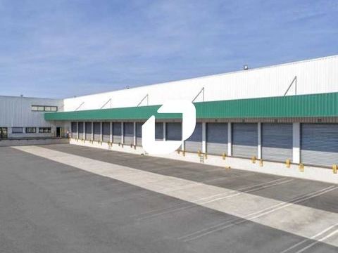 Entrepôts - A LOUER - 24 132 m² divisibles à partir de 3 500 m² 70385 45140 Ormes