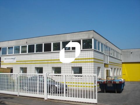Locaux d'Activit&eacute;s - A LOUER - 556 m&sup2; non divisibles 6023 94500 Champigny sur marne
