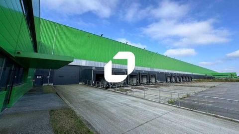 Entrepôts - A LOUER - 12 827 m² divisibles à partir de 5 963 m² 28646 62119 Dourges