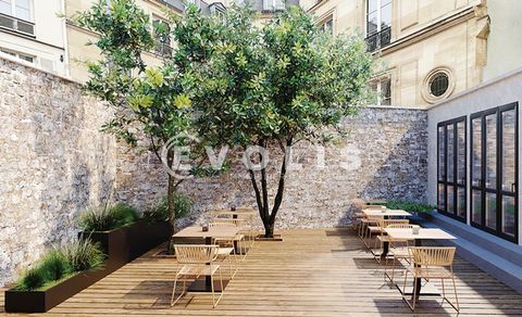 Bureaux - A LOUER - 280 m&sup2; non divisibles 52500 75008 Paris