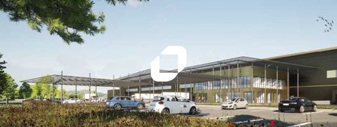 Entrepôts - A VENDRE OU A LOUER - 30 598 m² non divisibles 900 51110 Isles sur suippe