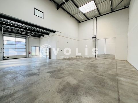 Locaux d'activit&eacute; - A LOUER - 310 m&sup2; non divisibles 2892 77090 Collegien