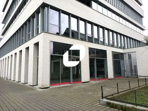 VISIBILITE EN ANGLE DE RUE - 154 m² non divisibles 2321 59000 Lille