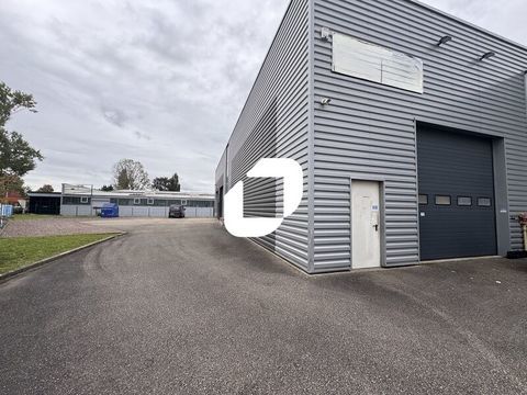STOCKAGE AVEC OU SANS BUREAUX - 282 m&sup2; non divisibles 1650 67400 Illkirch graffenstaden