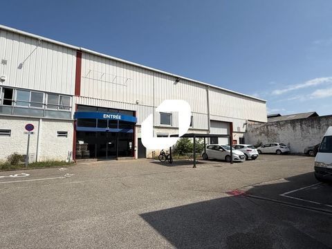 Locaux d'Activit&eacute;s - A LOUER - 1&nbsp;167 m&sup2; non divisibles 7500 69007 Lyon