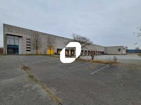 CELLULES AVEC QUAI - 5&nbsp;985 m&sup2; divisibles &agrave; partir de 1&nbsp;027 m&sup2; 7780500 59223 Roncq