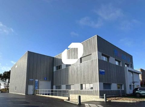 Locaux d'Activités - A VENDRE OU A LOUER - 665 m² non divisibles 0 44840 Les sorinieres