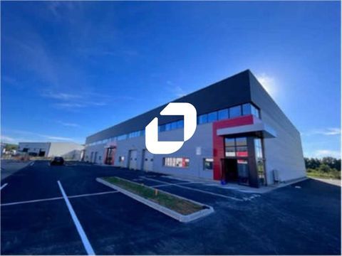 Locaux d'Activit&eacute;s - A LOUER - 2&nbsp;809 m&sup2; divisibles &agrave; partir de 565 m&sup2; 19250 01120 Dagneux