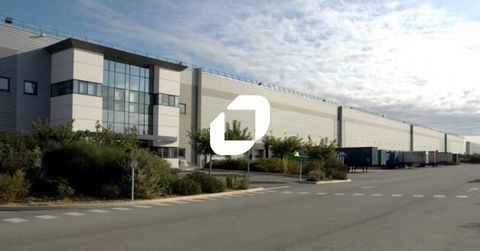 Entrepôts - A LOUER - 30 669 m² non divisibles 166124 13310 Saint martin de crau