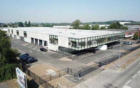 Locaux d'activit&eacute; - A LOUER - 947 m&sup2; divisibles &agrave; partir de 420 m&sup2; 7614 59960 Neuville en ferrain