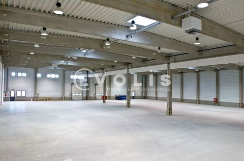 Locaux d'activit&eacute; - A VENDRE - 6&nbsp;108 m&sup2; non divisibles 2900017 80800 Villers bretonneux