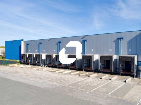 Entrepôts - A LOUER - 17 342 m² divisibles à partir de 1 140 m² 69368 62820 Libercourt