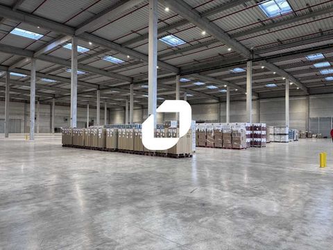 Entrepôts - A LOUER - 54 100 m² divisibles à partir de 6 000 m² 225417 62223 Saint laurent blangy