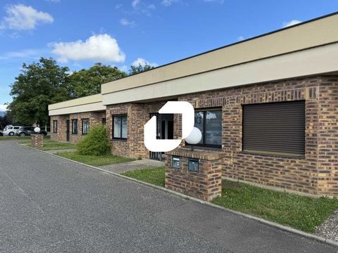 Locaux d'Activit&eacute;s - A LOUER - 150 m&sup2; non divisibles 1505 67201 Eckbolsheim