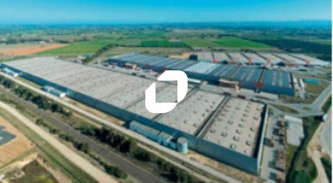 Entrepôts - A LOUER - 28 882 m² non divisibles 156444 13310 Saint martin de crau