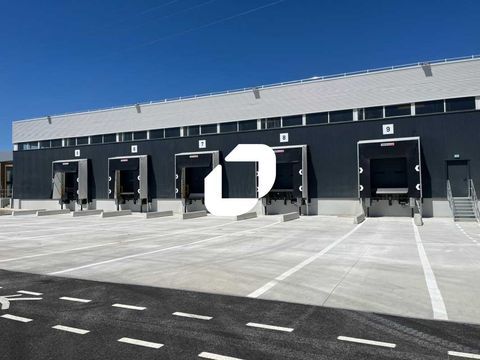 Entrepôts - A LOUER - 6 482 m² non divisibles 51316 84000 Avignon