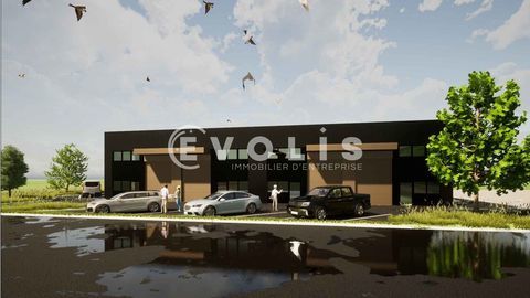 Locaux d'activit&eacute; - A LOUER - 800 m&sup2; divisibles &agrave; partir de 200 m&sup2; 6667 33980 Audenge