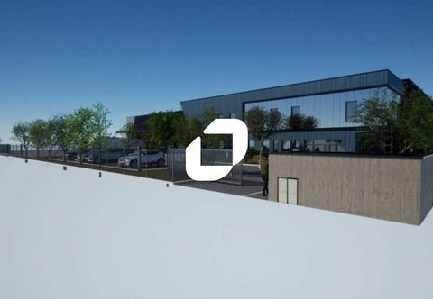 CLE EN MAIN SUR TERRAIN INDEPENDANT - 3 643 m² non divisibles 6173000 69780 Mions