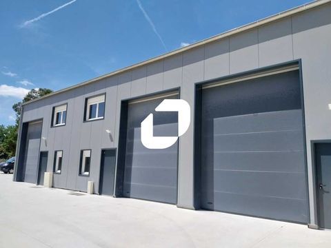 Locaux d'Activit&eacute;s - A LOUER - 684 m&sup2; divisibles &agrave; partir de 169 m&sup2; 6150 44470 Thouare sur loire