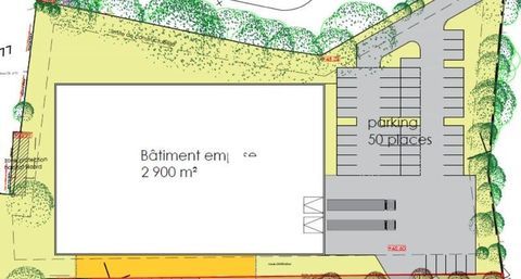 Locaux d'Activités - A VENDRE - 2 900 m² non divisibles 4999600 44115 Haute goulaine