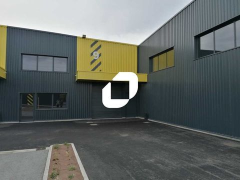 Local neuf disponible rapidement - 538 m² non divisibles 700000 01480 Frans