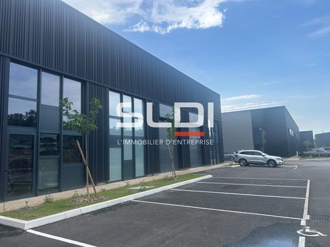 Locaux d'activités - A VENDRE - 1 567 m² divisibles à partir de 224 m² 1896527 01600 Trevoux
